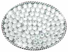37544 All Rhinestones buckle